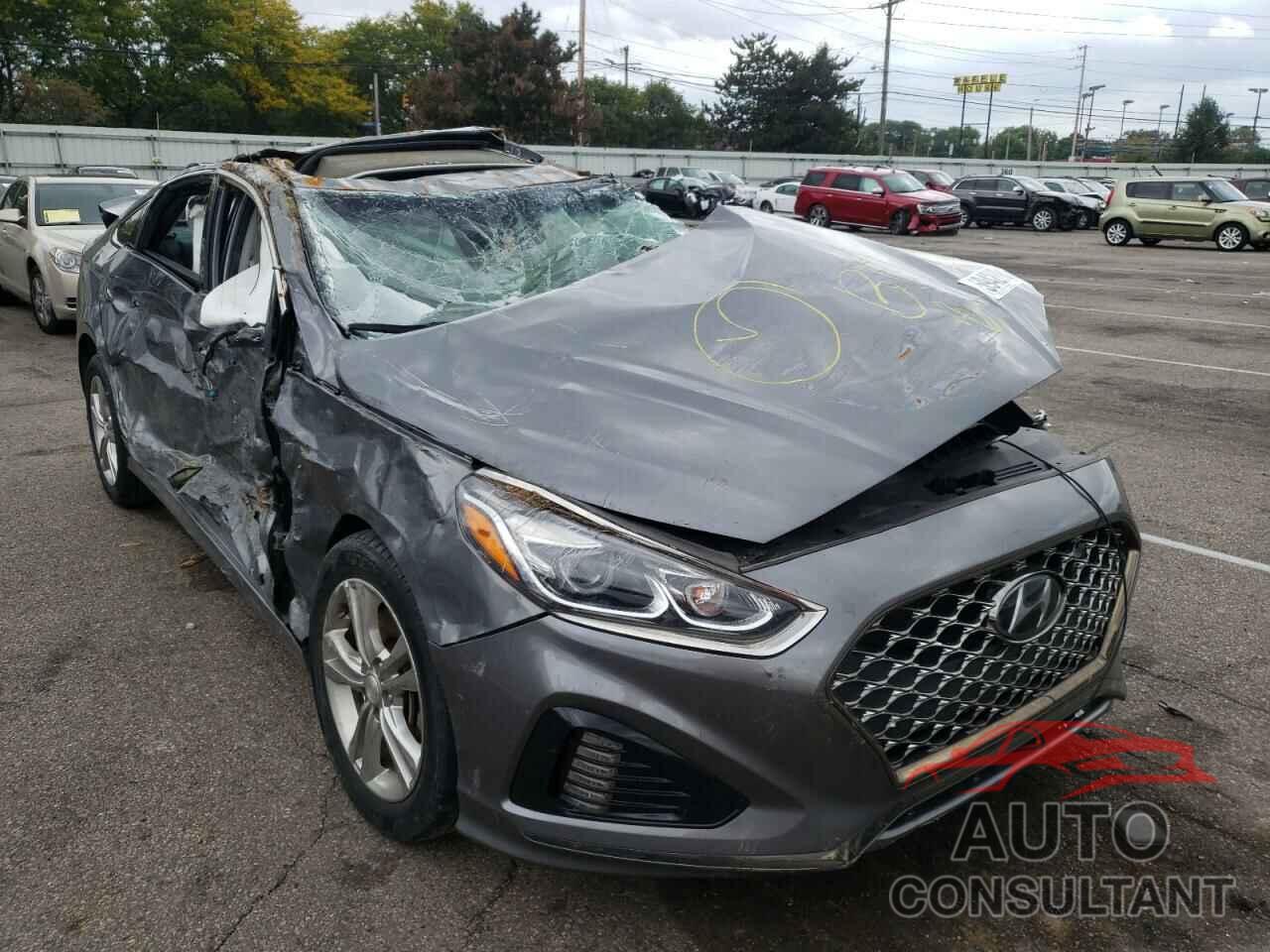 HYUNDAI SONATA 2019 - 5NPE34AF7KH774033