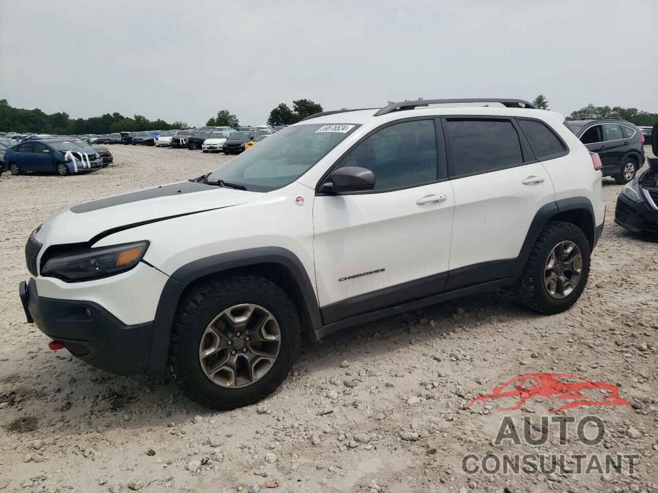 JEEP CHEROKEE 2019 - 1C4PJMBX5KD198471