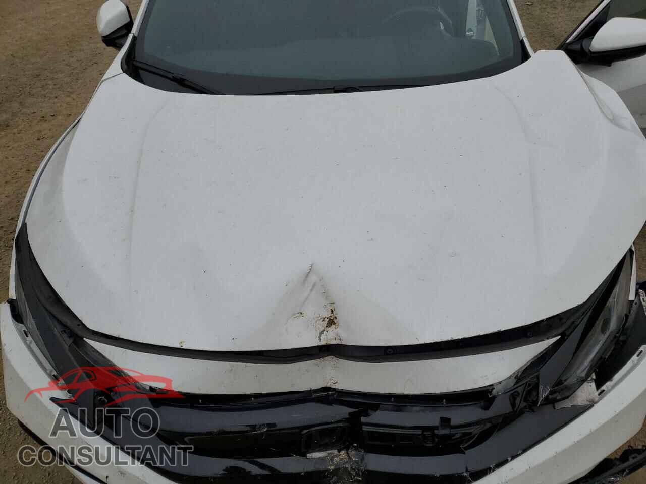 HONDA CIVIC 2021 - 2HGFC2F86MH531006