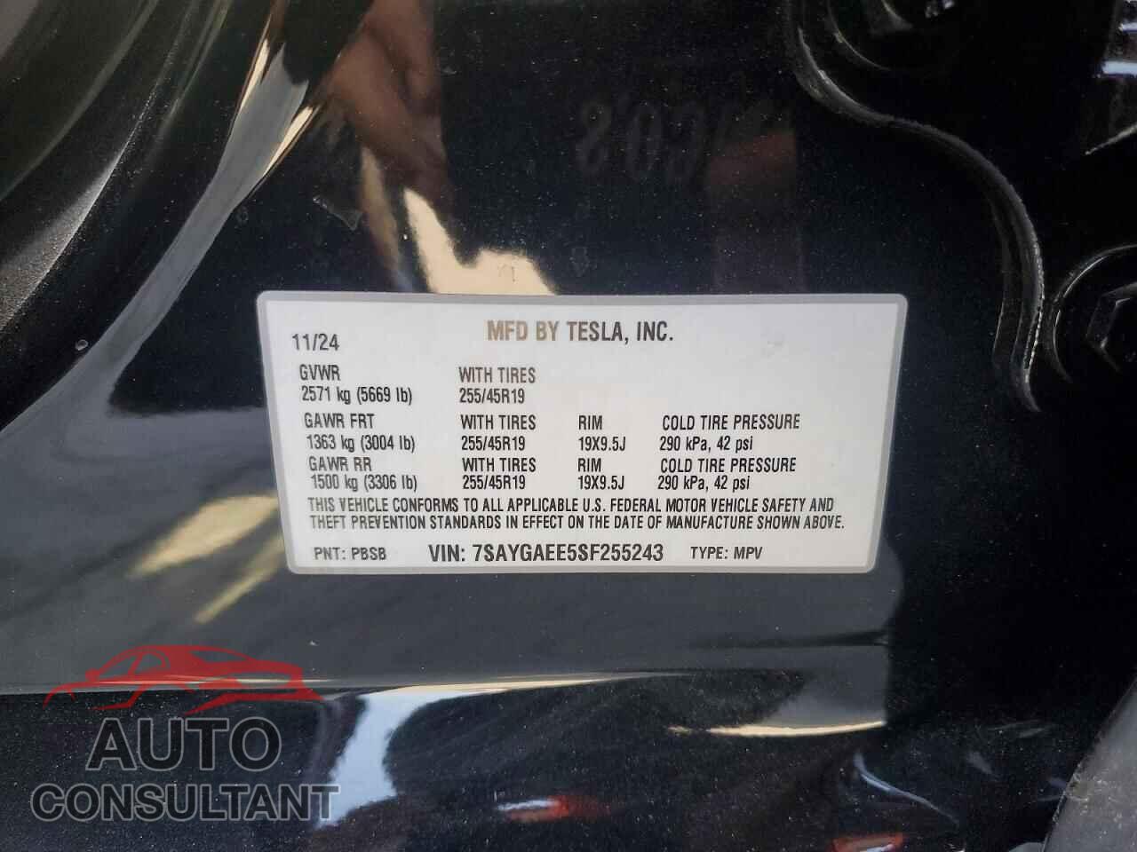 TESLA MODEL Y 2025 - 7SAYGAEE5SF255243