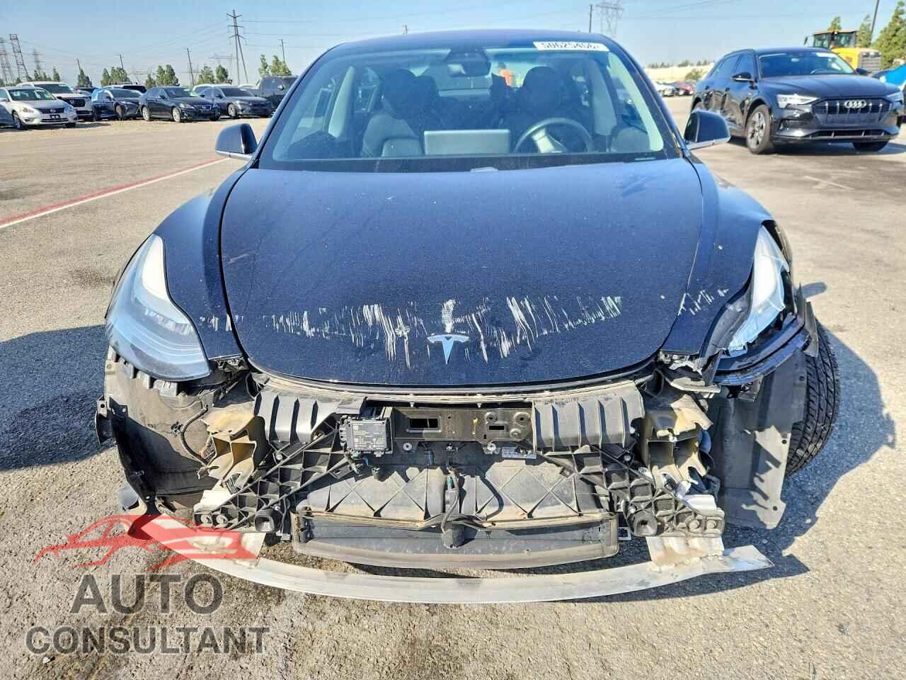 TESLA MODEL 3 2019 - 5YJ3E1EA1KF306005