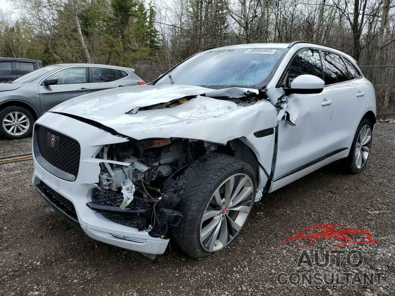 JAGUAR F-PACE 2019 - SADCL2FN5KA609959