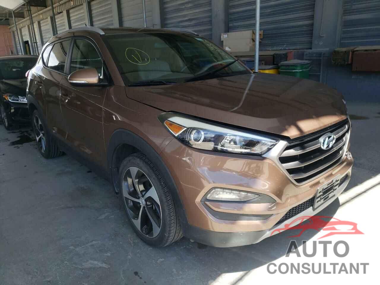 HYUNDAI TUCSON 2016 - KM8J33A24GU253849