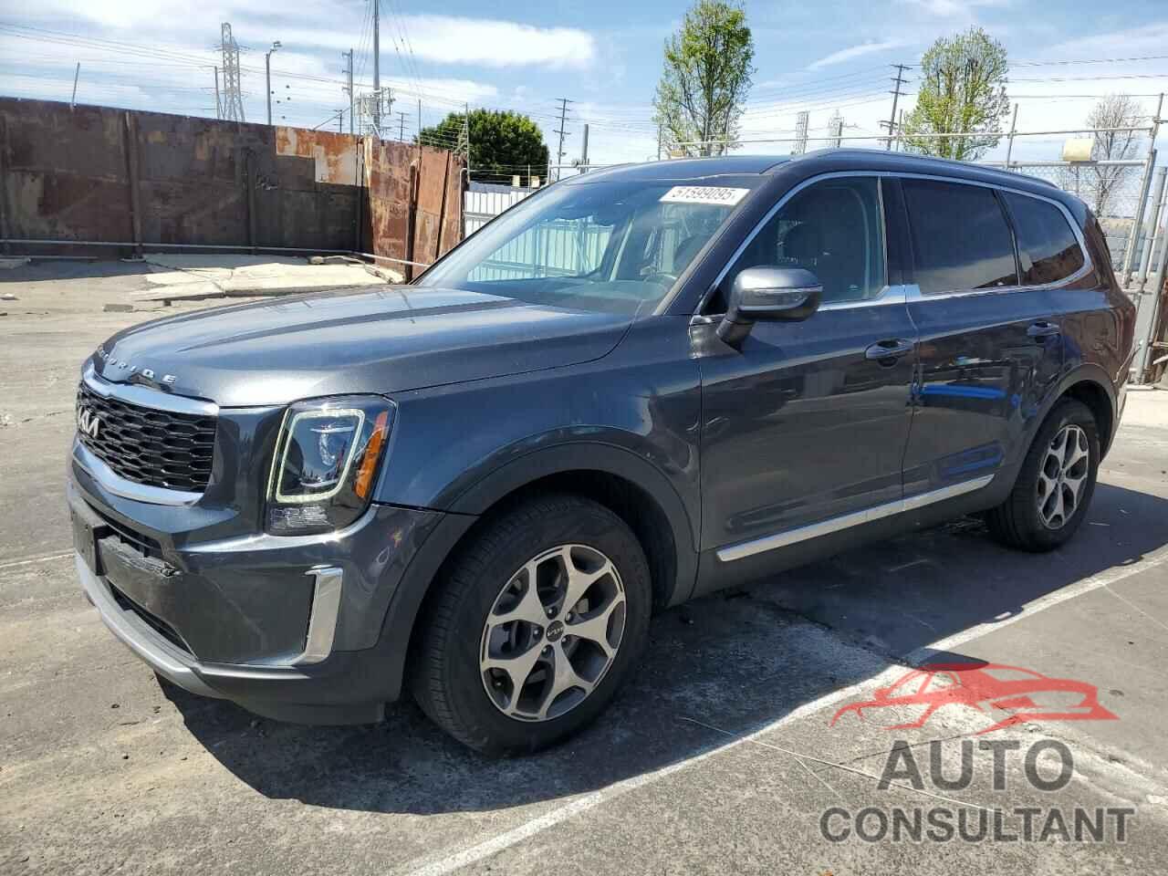 KIA TELLURIDE 2022 - 5XYP34HC5NG282889
