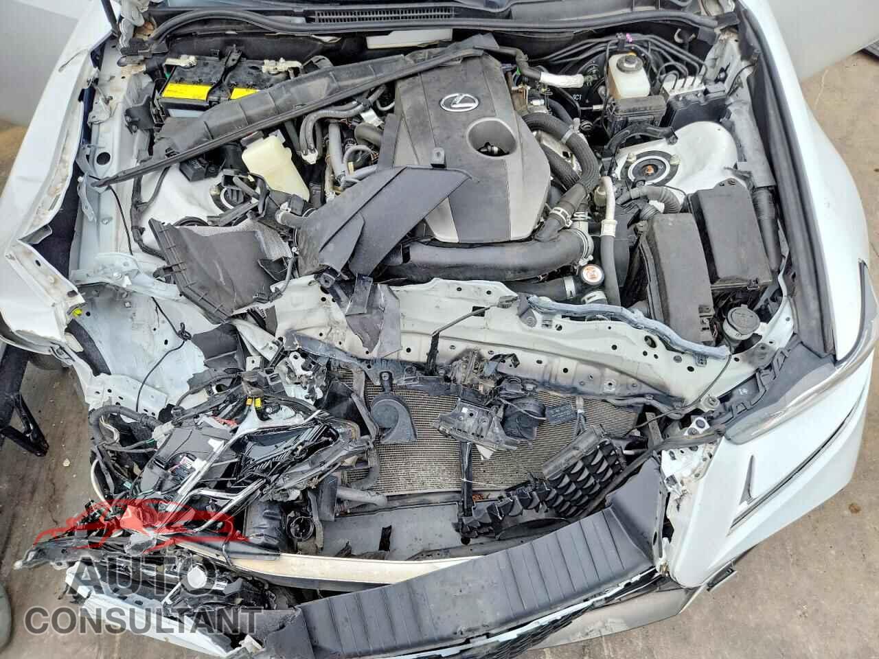 LEXUS IS 2019 - JTHBA1D28K5099954