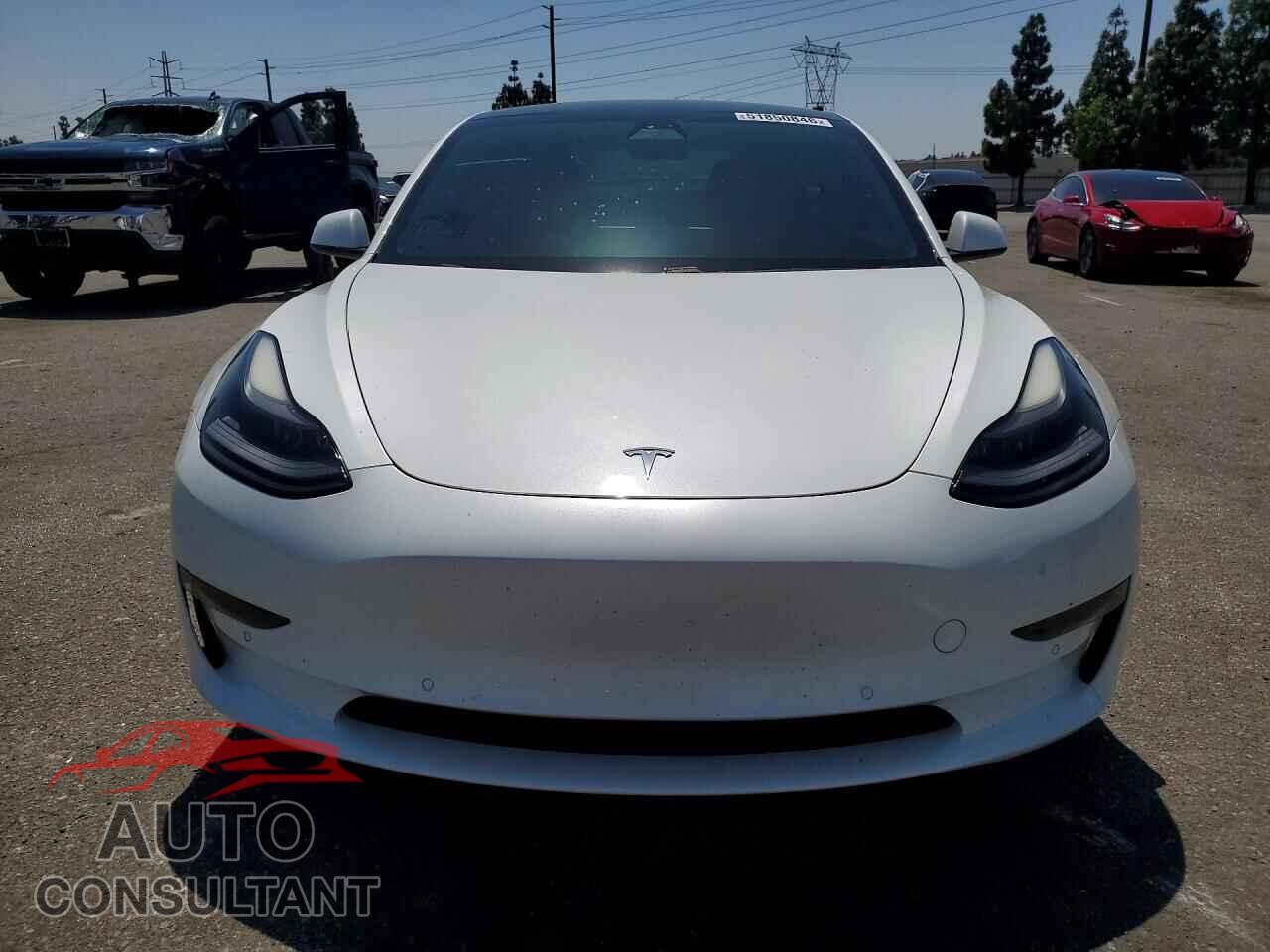 TESLA MODEL 3 2021 - 5YJ3E1EA8MF929642