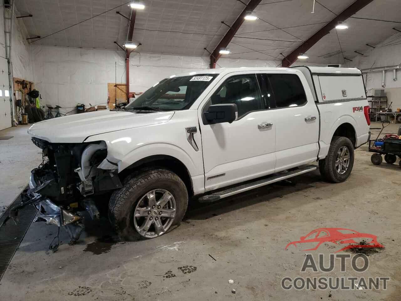 FORD F-150 2022 - 1FTFW1ED7NFB74517