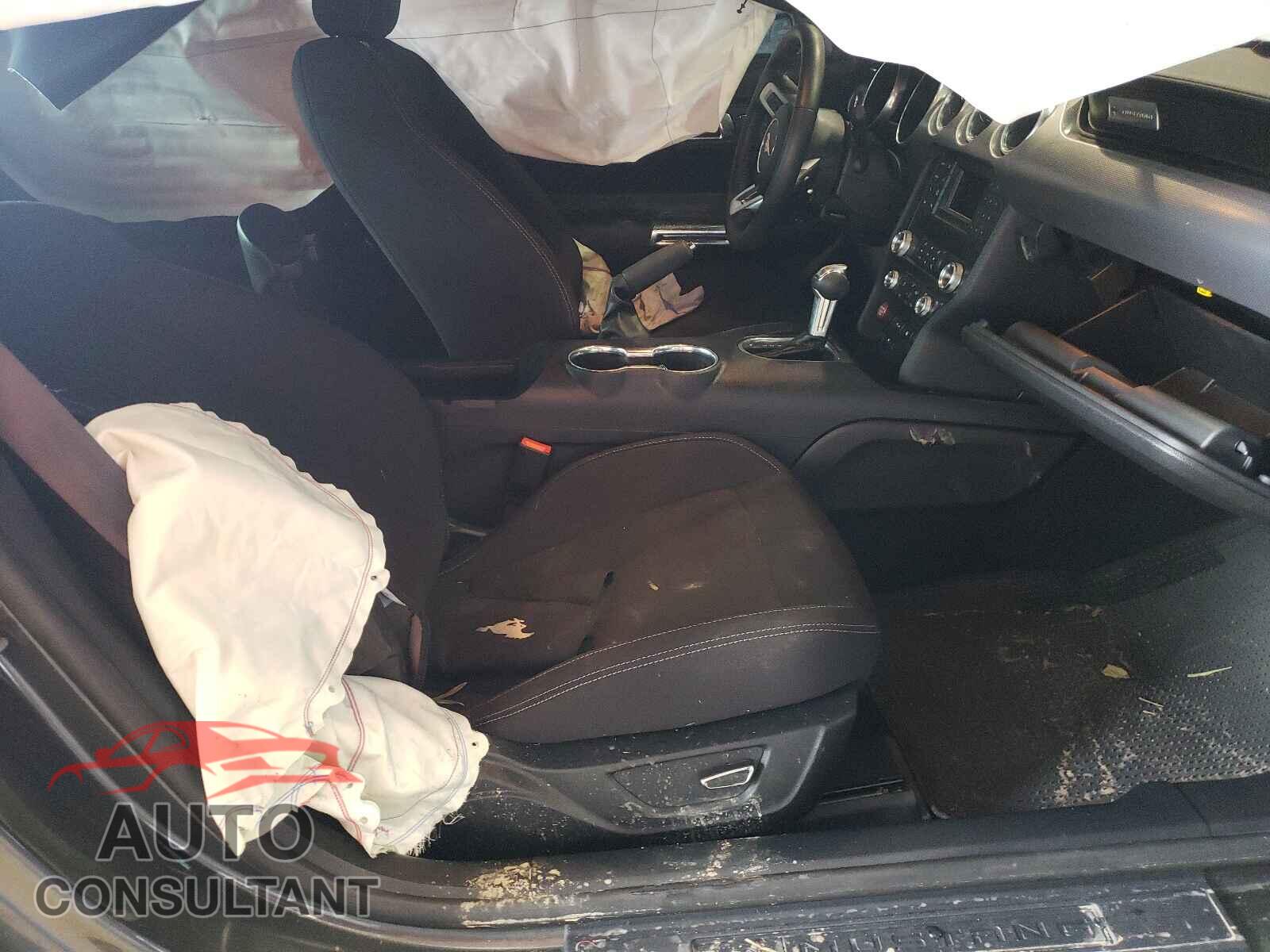 FORD MUSTANG 2019 - 1FA6P8CF2K5157464