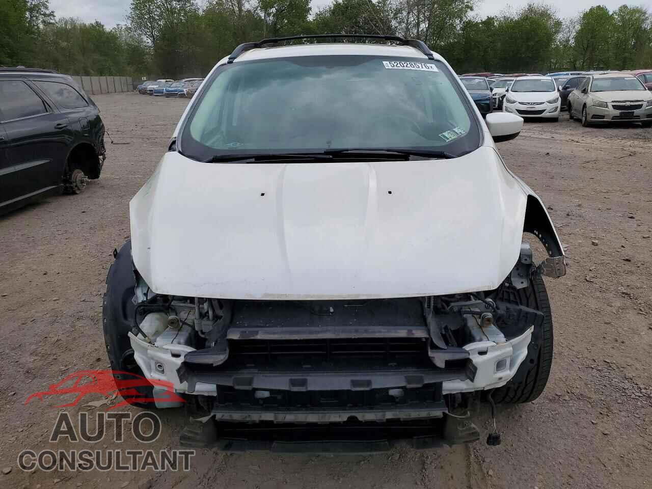 FORD ESCAPE 2013 - 1FMCU9GX5DUC66651
