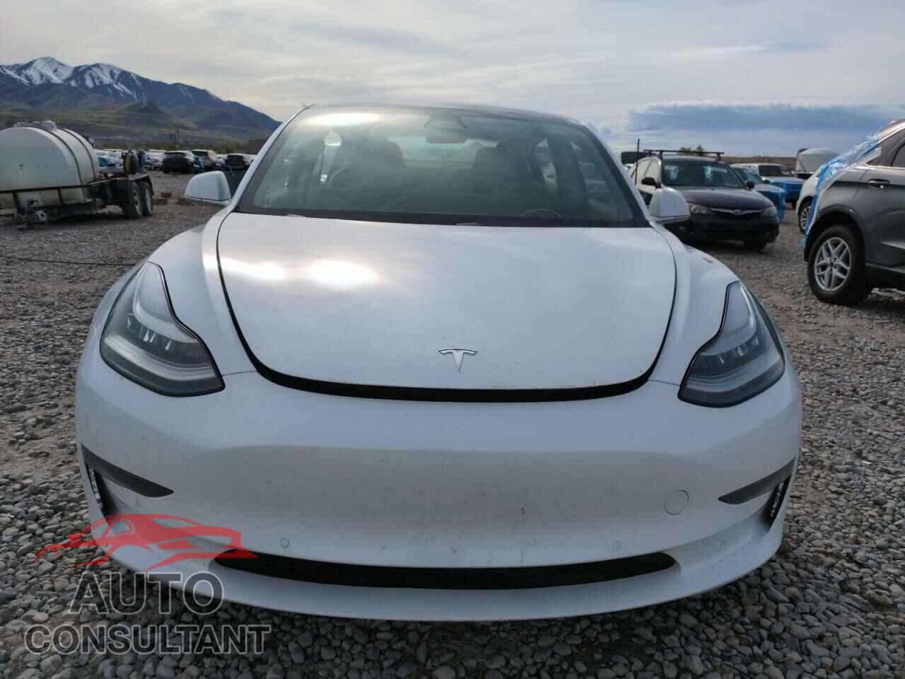 TESLA MODEL 3 2020 - 5YJ3E1EA3LF800710