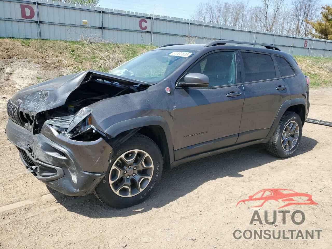 JEEP CHEROKEE 2020 - 1C4PJMBX2LD578949