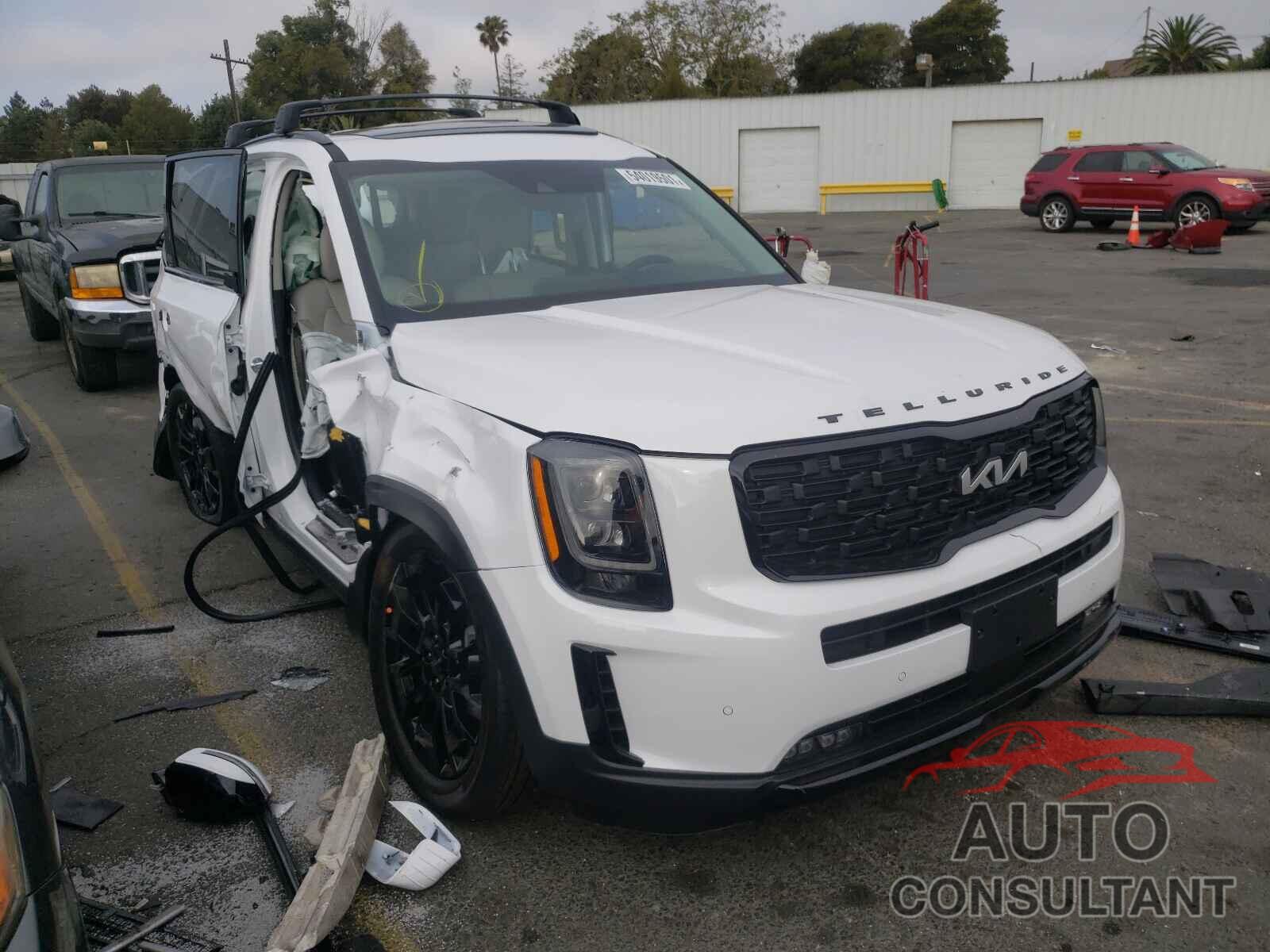 KIA TELLURIDE 2022 - 5XYP5DHC2NG195719