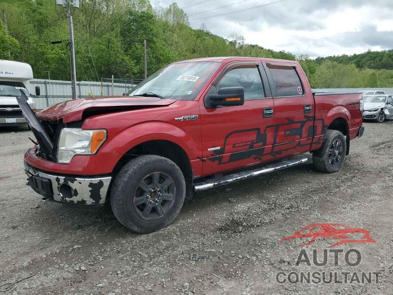FORD F-150 2011 - 1FTFW1ETXBFB08840