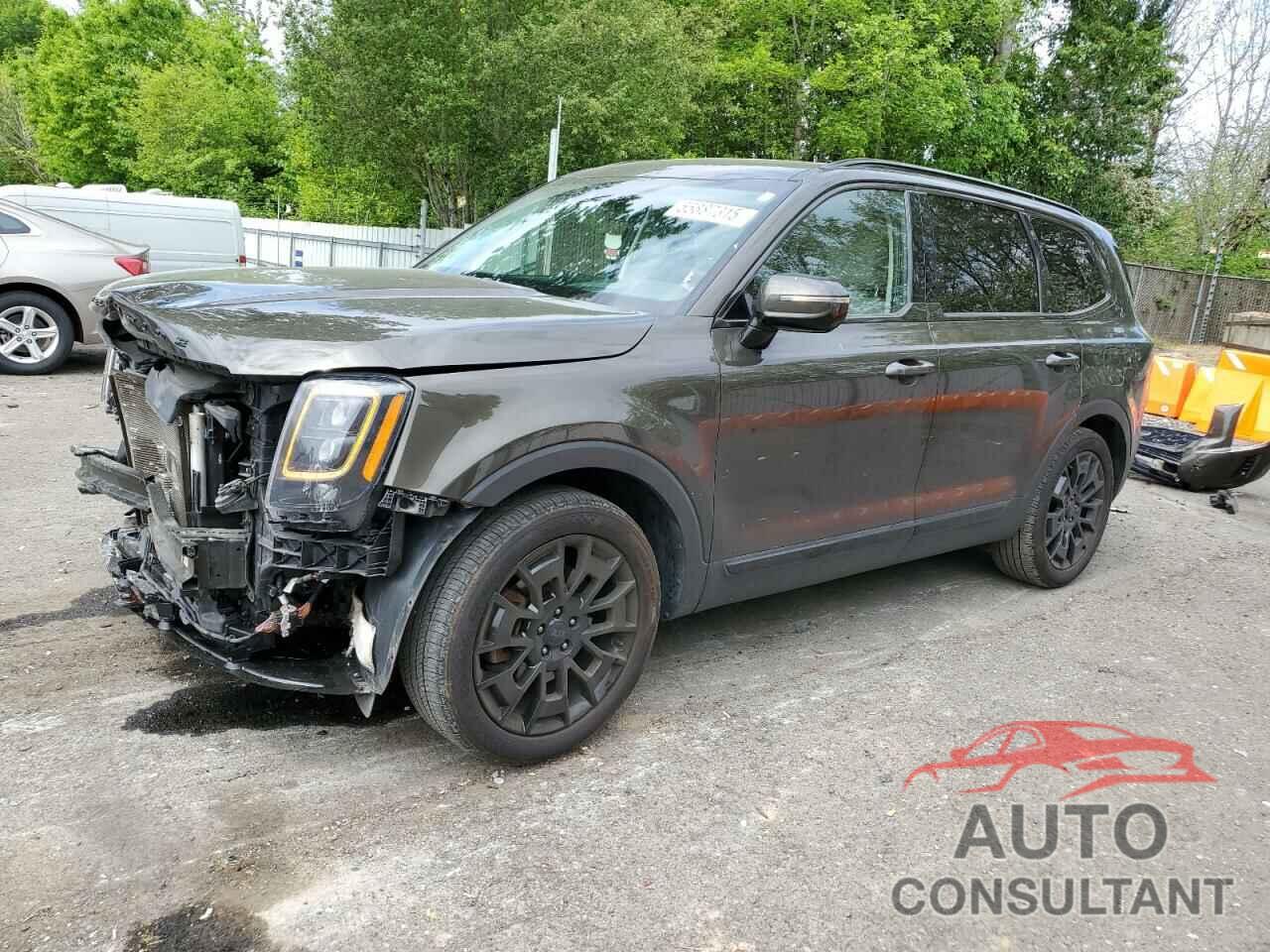KIA TELLURIDE 2021 - 5XYP5DHC7MG185220
