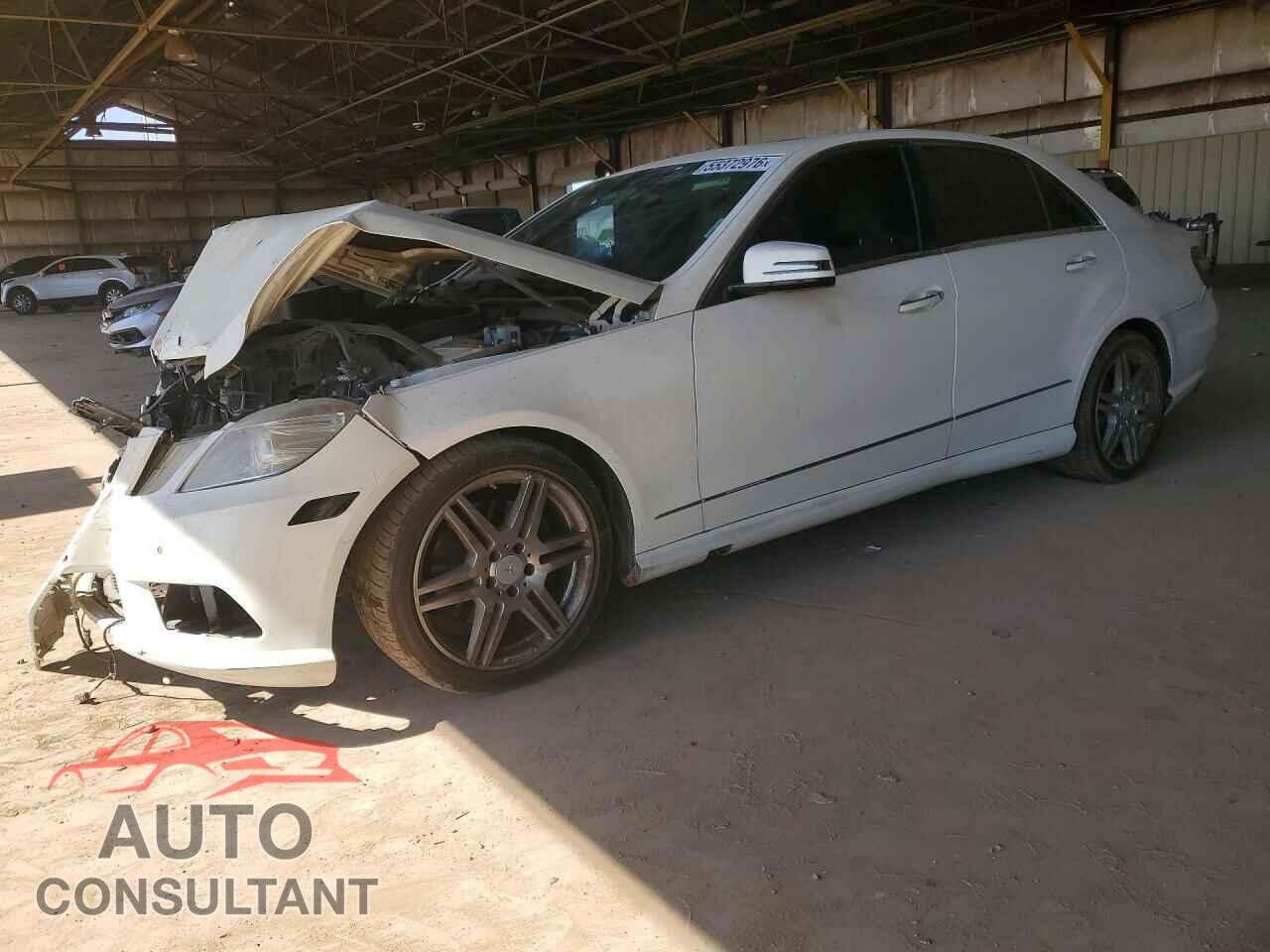 MERCEDES-BENZ E-CLASS 2010 - WDDHF5GB0AA112191