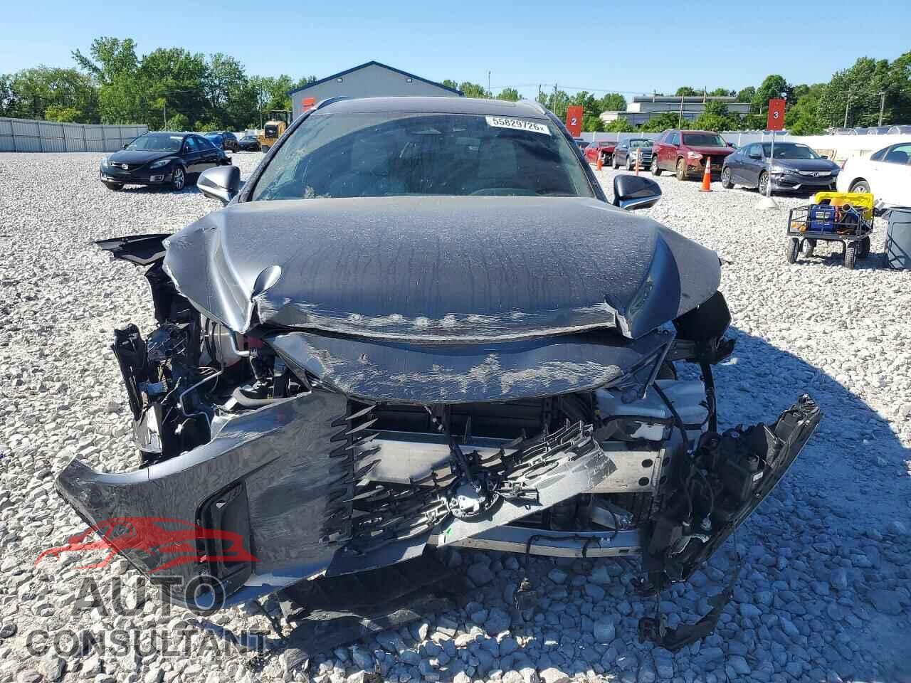 LEXUS UNKNOWN 2025 - 2T2BBMCAXSC091460