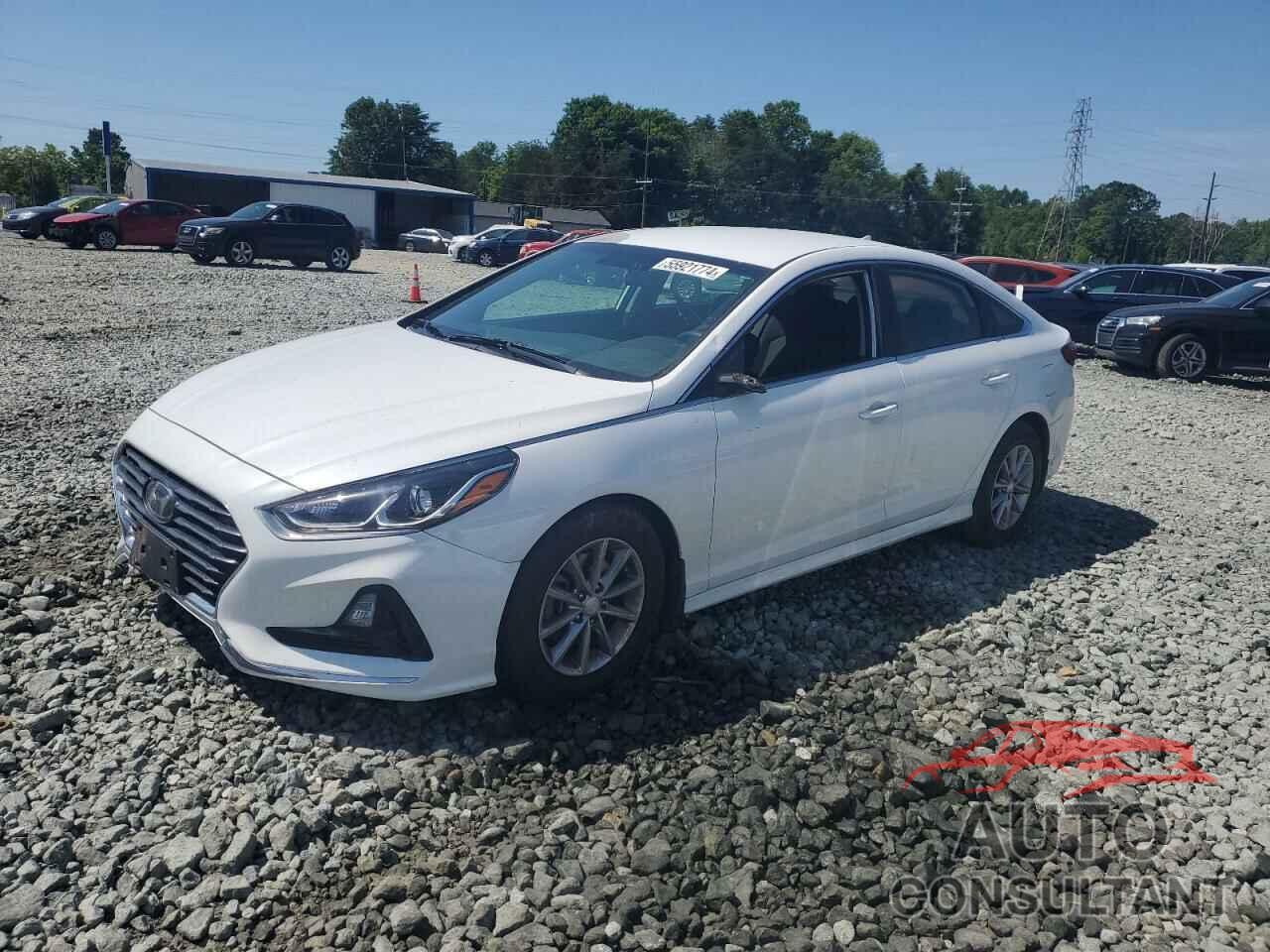 HYUNDAI SONATA 2019 - 5NPE24AF4KH796784