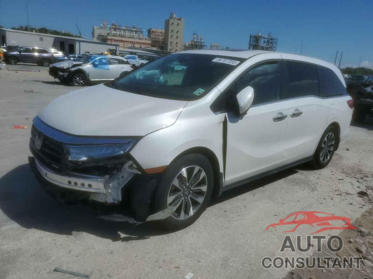 HONDA All Models 2023 - 5FNRL6H61PB057362