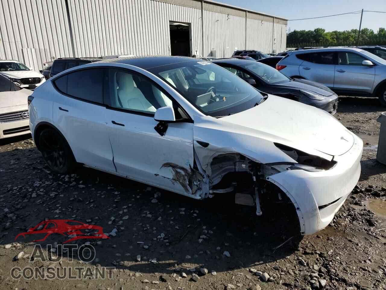 TESLA MODEL Y 2023 - 7SAYGAEE3PF958542