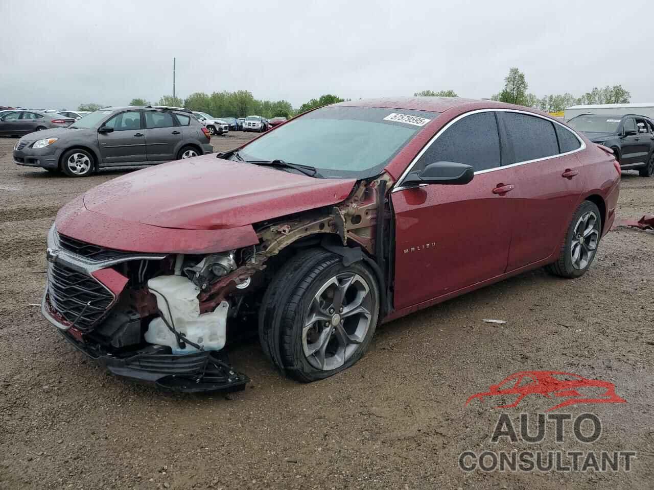 CHEVROLET MALIBU 2019 - 1G1ZG5STXKF208354
