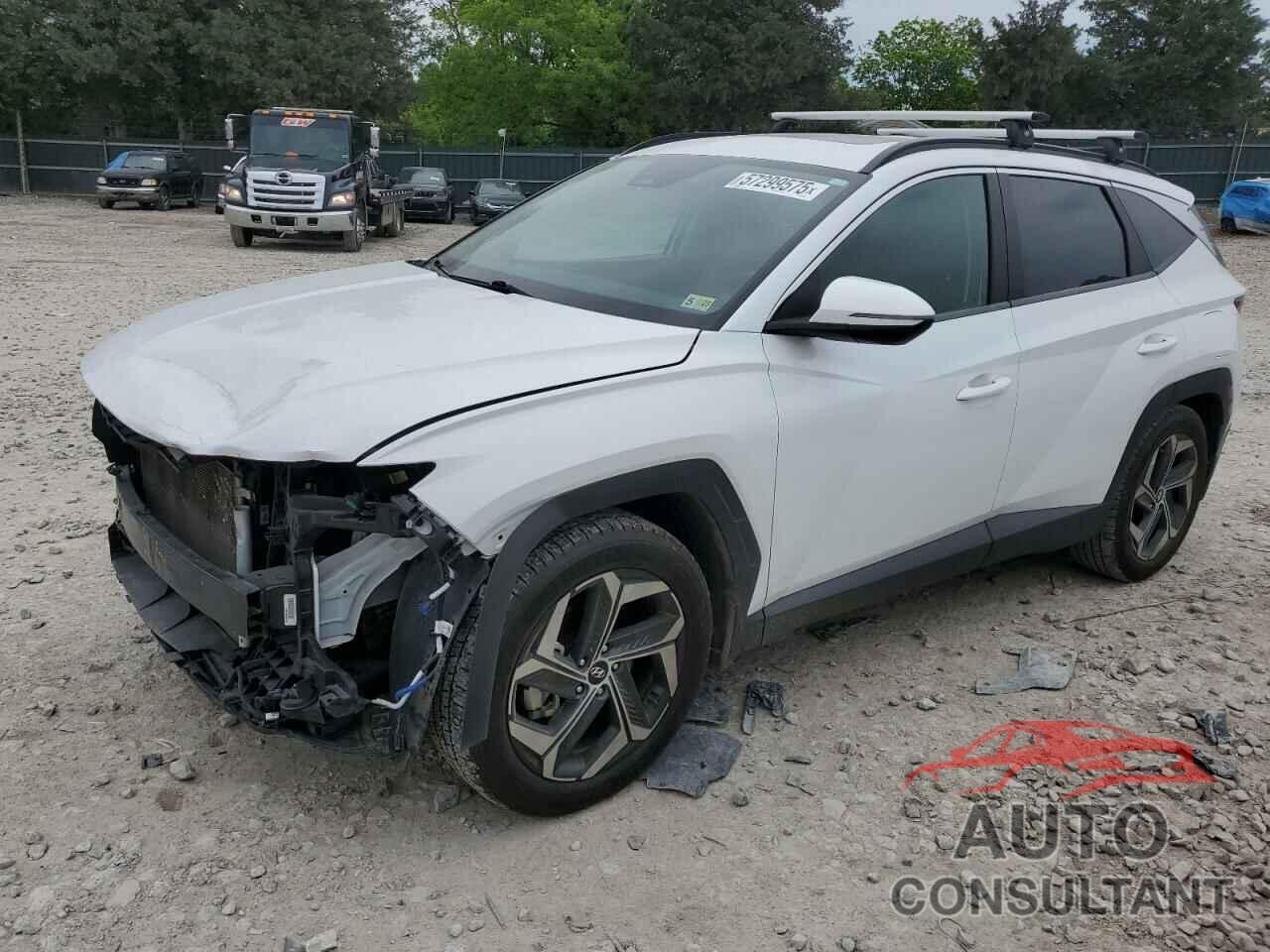 HYUNDAI TUCSON 2022 - 5NMJF3AE8NH060209