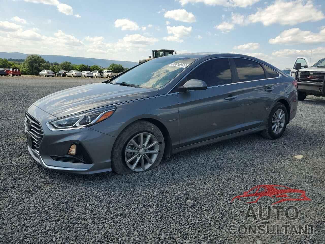 HYUNDAI SONATA 2019 - 5NPE24AF8KH796545