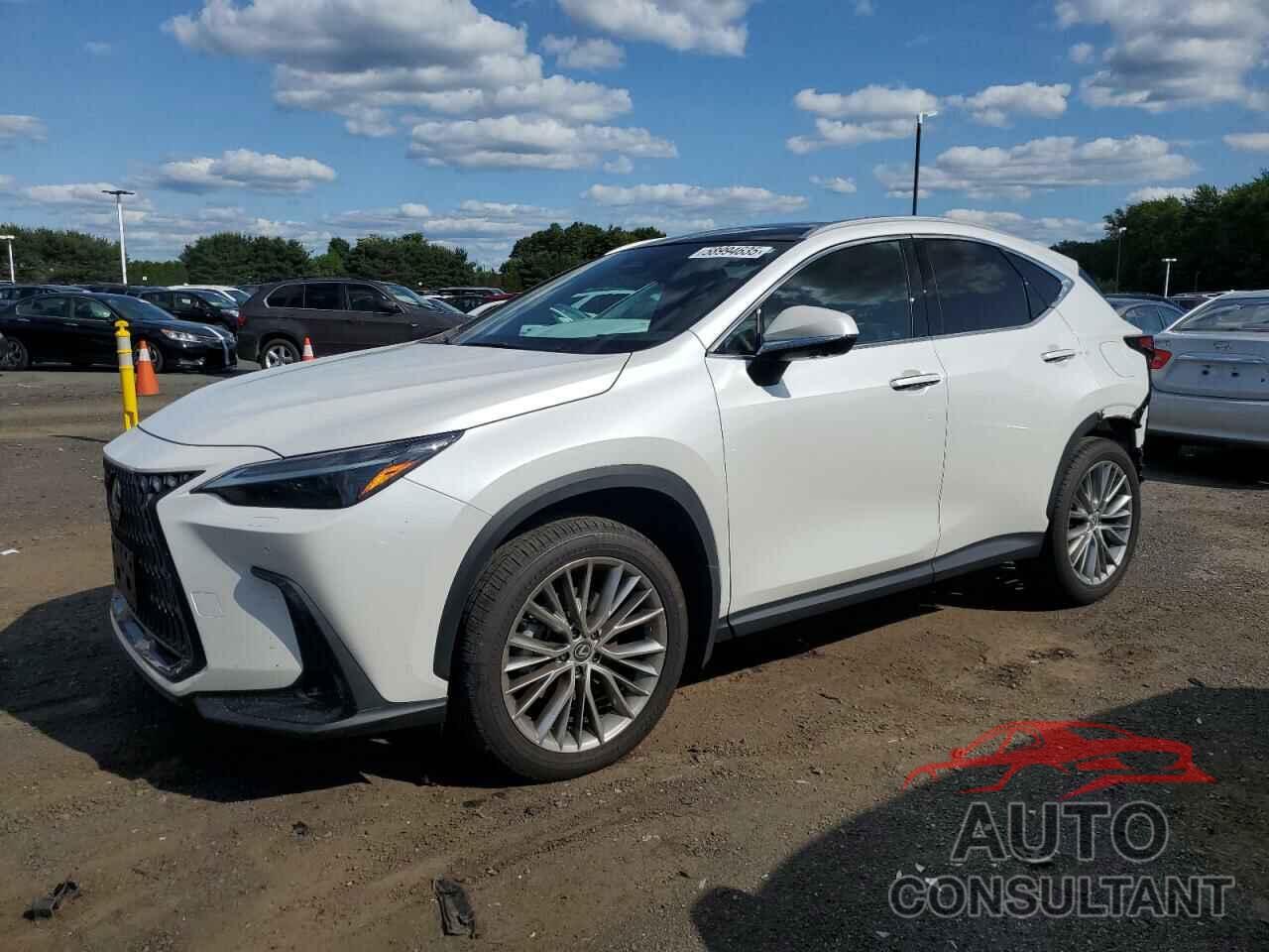 LEXUS NX 350 LUX 2024 - 2T2HGCEZ1RC048676