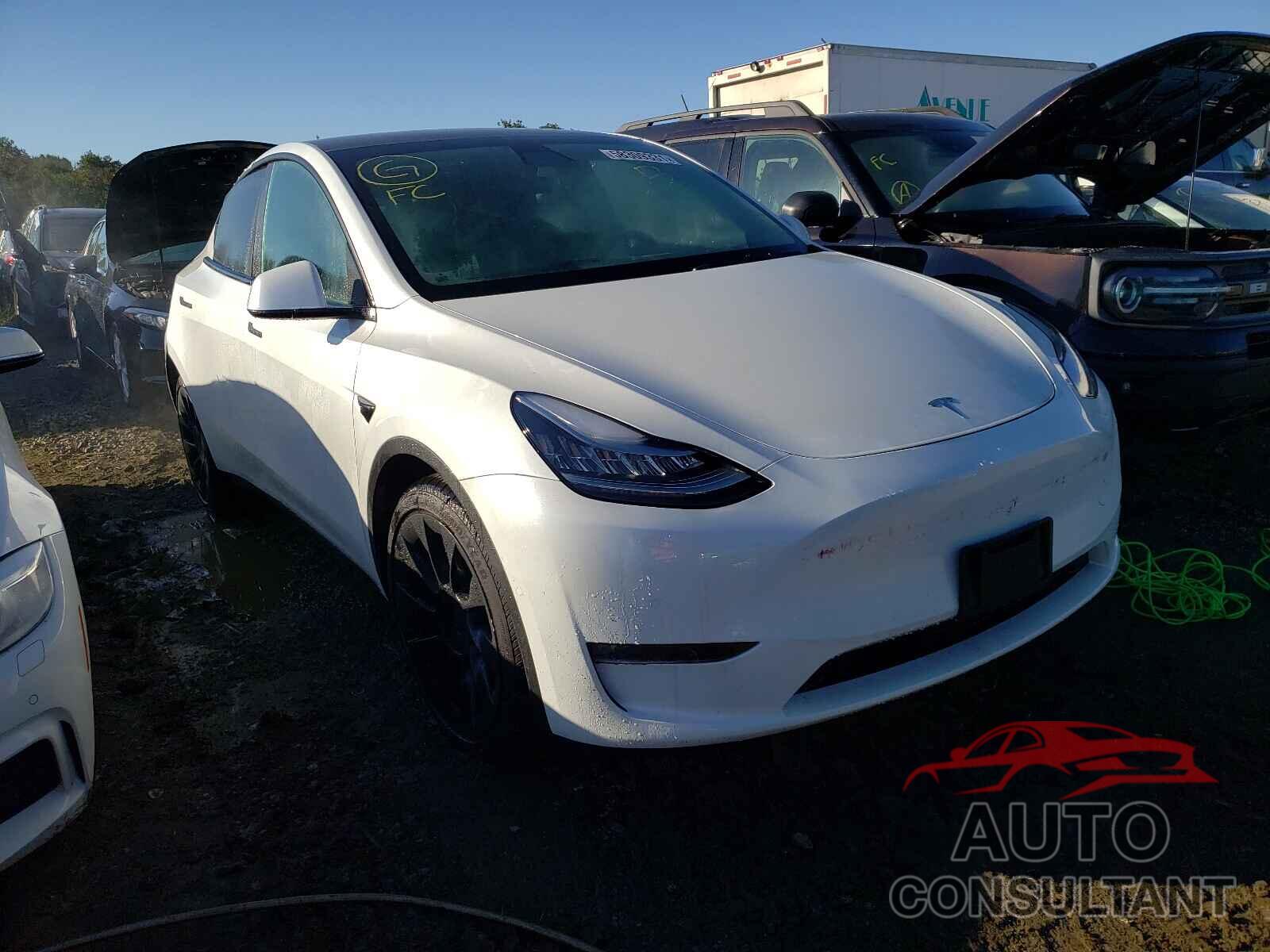 TESLA MODEL Y 2021 - 5YJYGDEE3MF143686