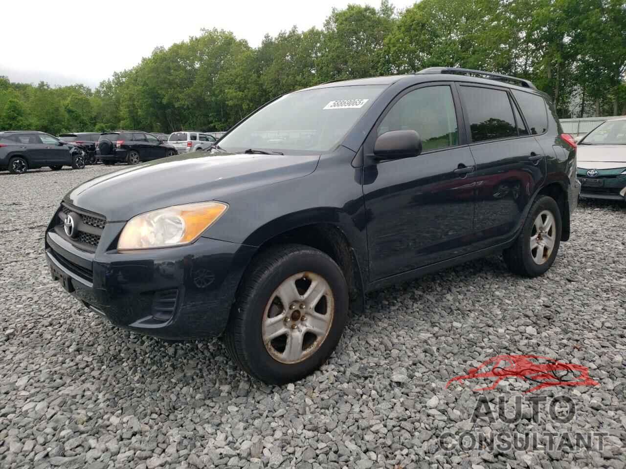 TOYOTA RAV4 2011 - 2T3BF4DV2BW100412