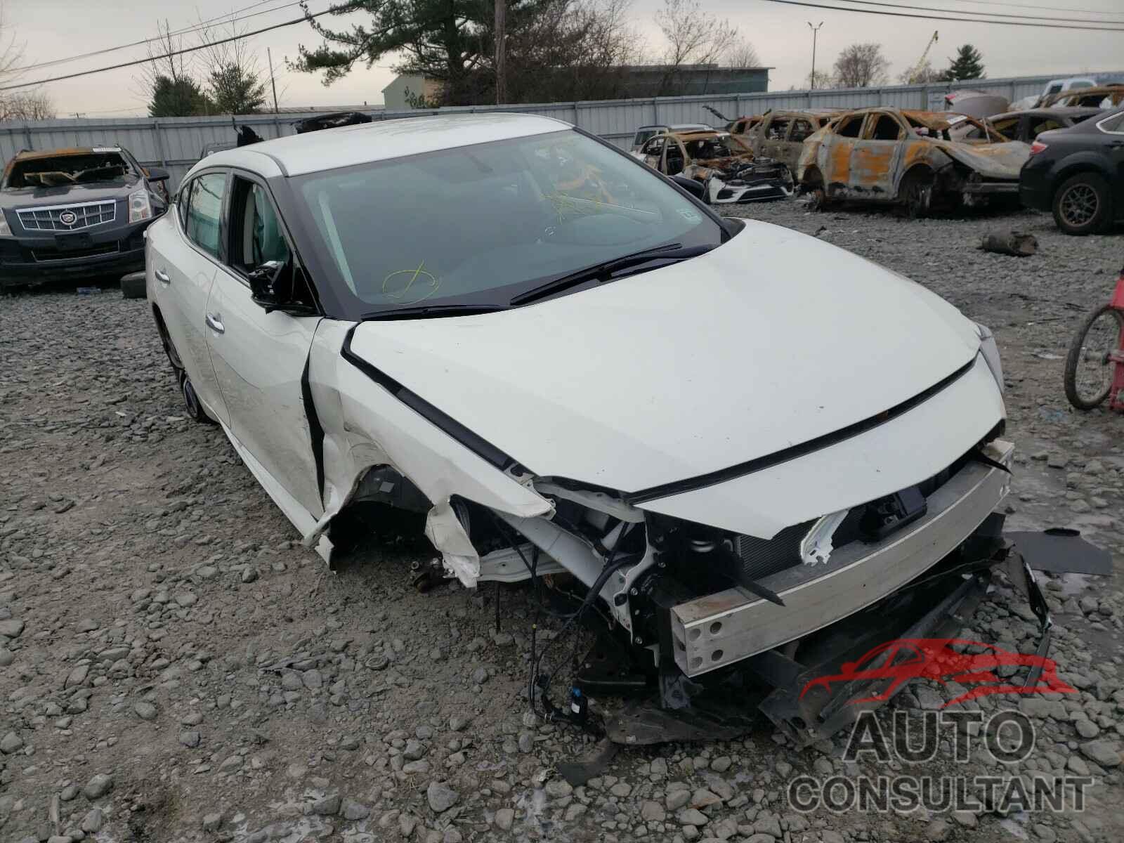 NISSAN MAXIMA 2019 - 1N4AA6AV9KC361913