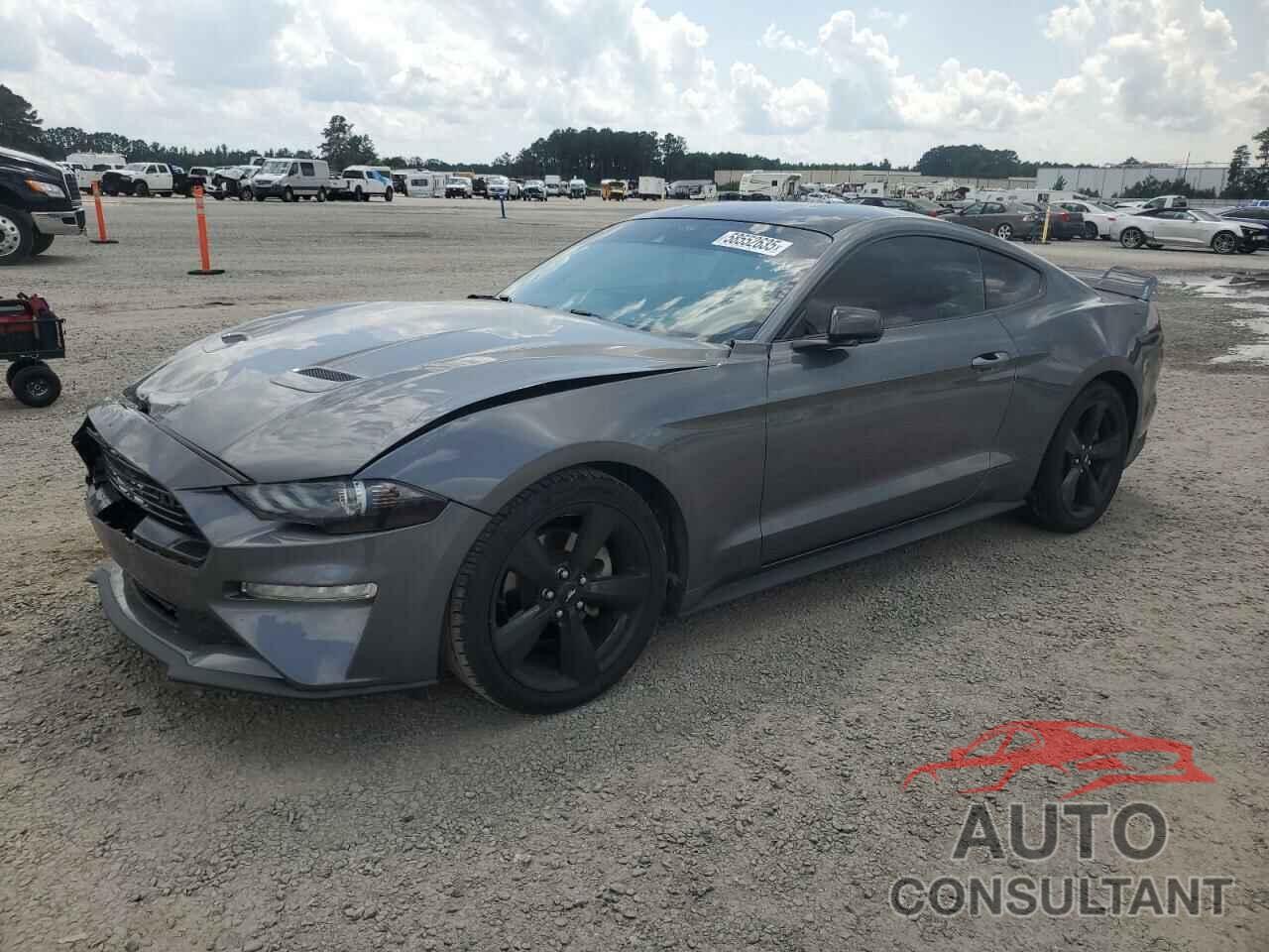 FORD ALL Models 2021 - 1FA6P8TH2M5134769