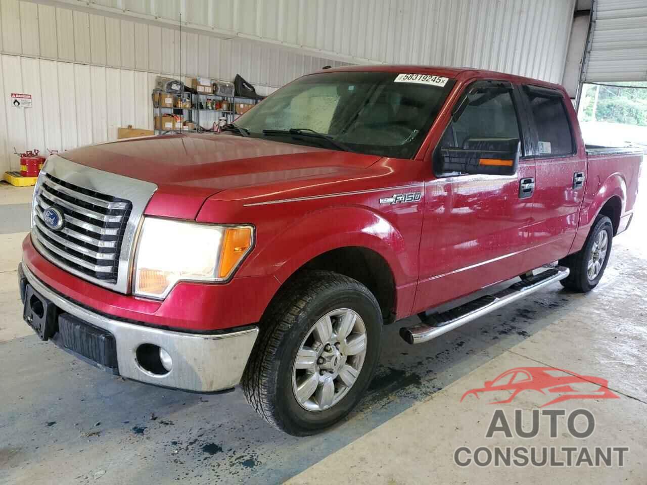 FORD F-150 2011 - 1FTEW1CM5BFD02781