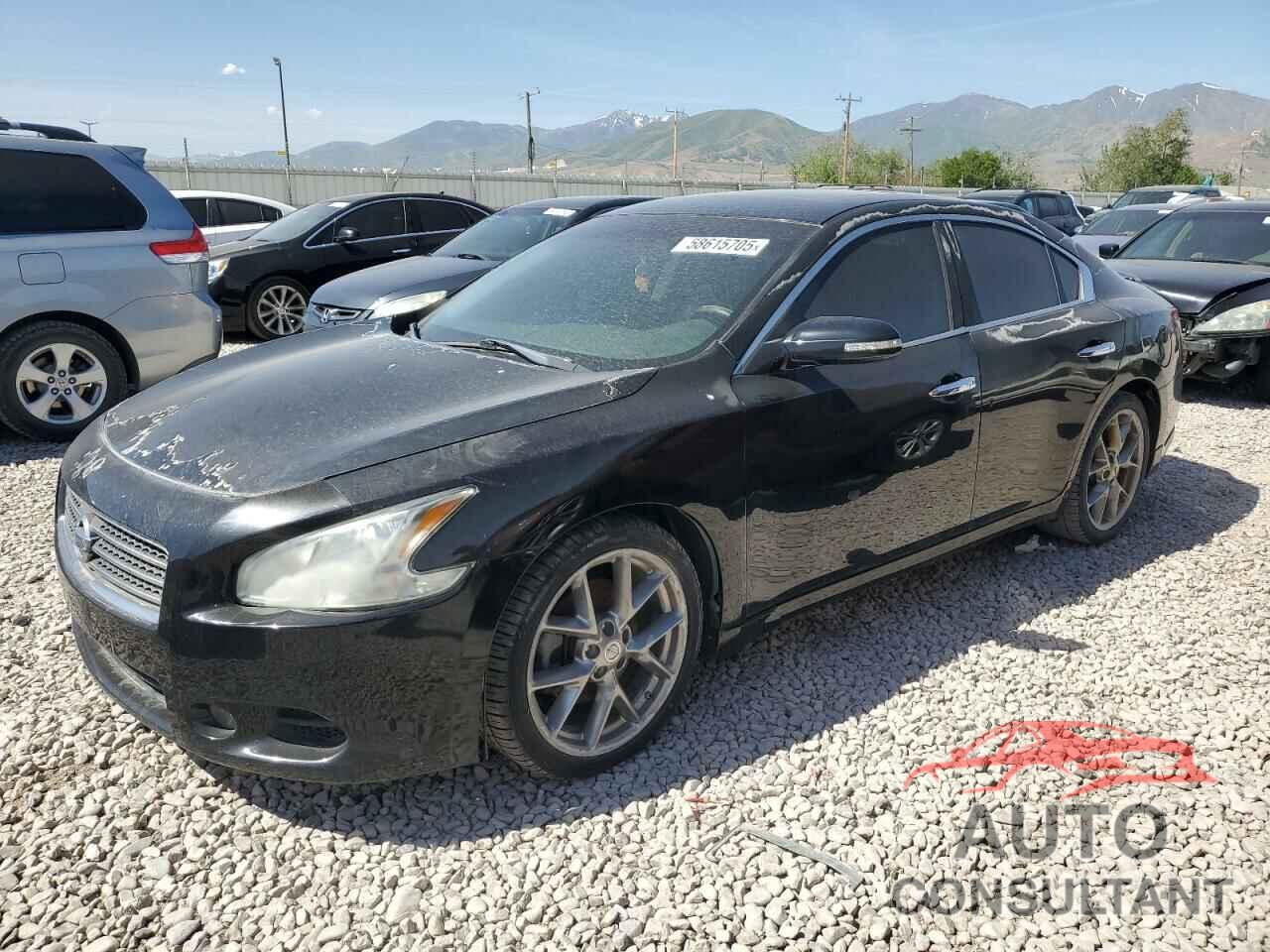 NISSAN MAXIMA 2010 - 1N4AA5AP7AC858212