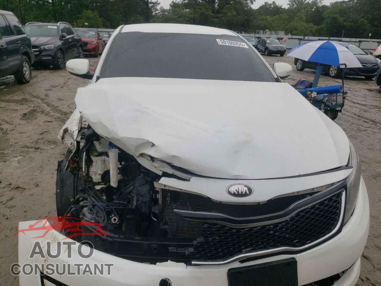KIA OPTIMA 2014 - KNAGM4A70E5494065