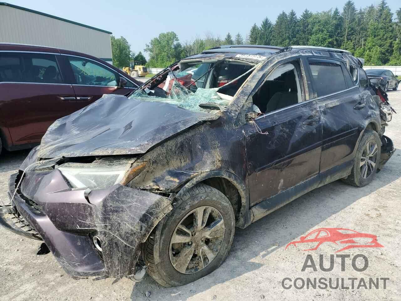 TOYOTA RAV4 2016 - 2T3RFREV1GW493997