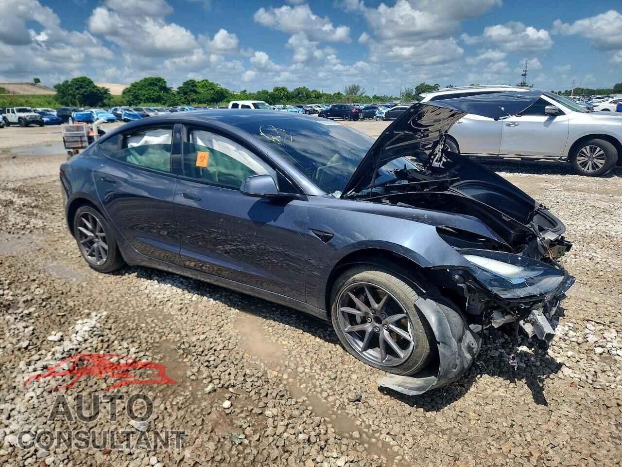 TESLA MODEL 3 2021 - 5YJ3E1EA0MF081711