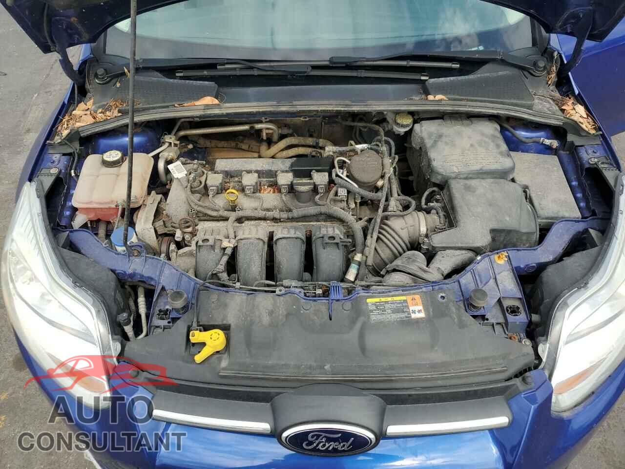 FORD FOCUS 2012 - 1FAHP3F21CL456834