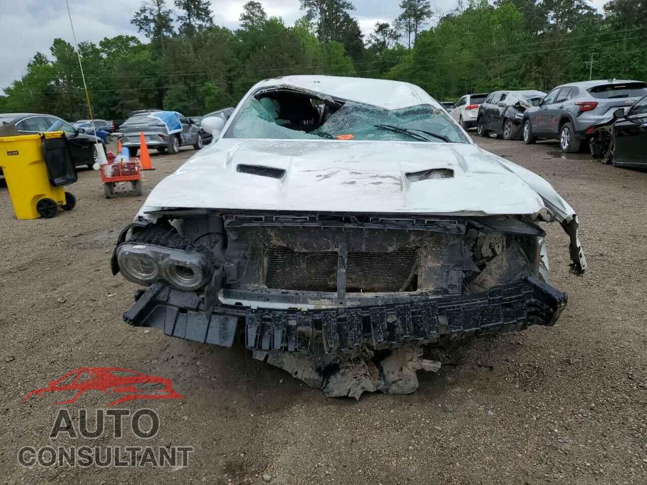 DODGE CHALLENGER 2019 - 2C3CDZAG8KH714592