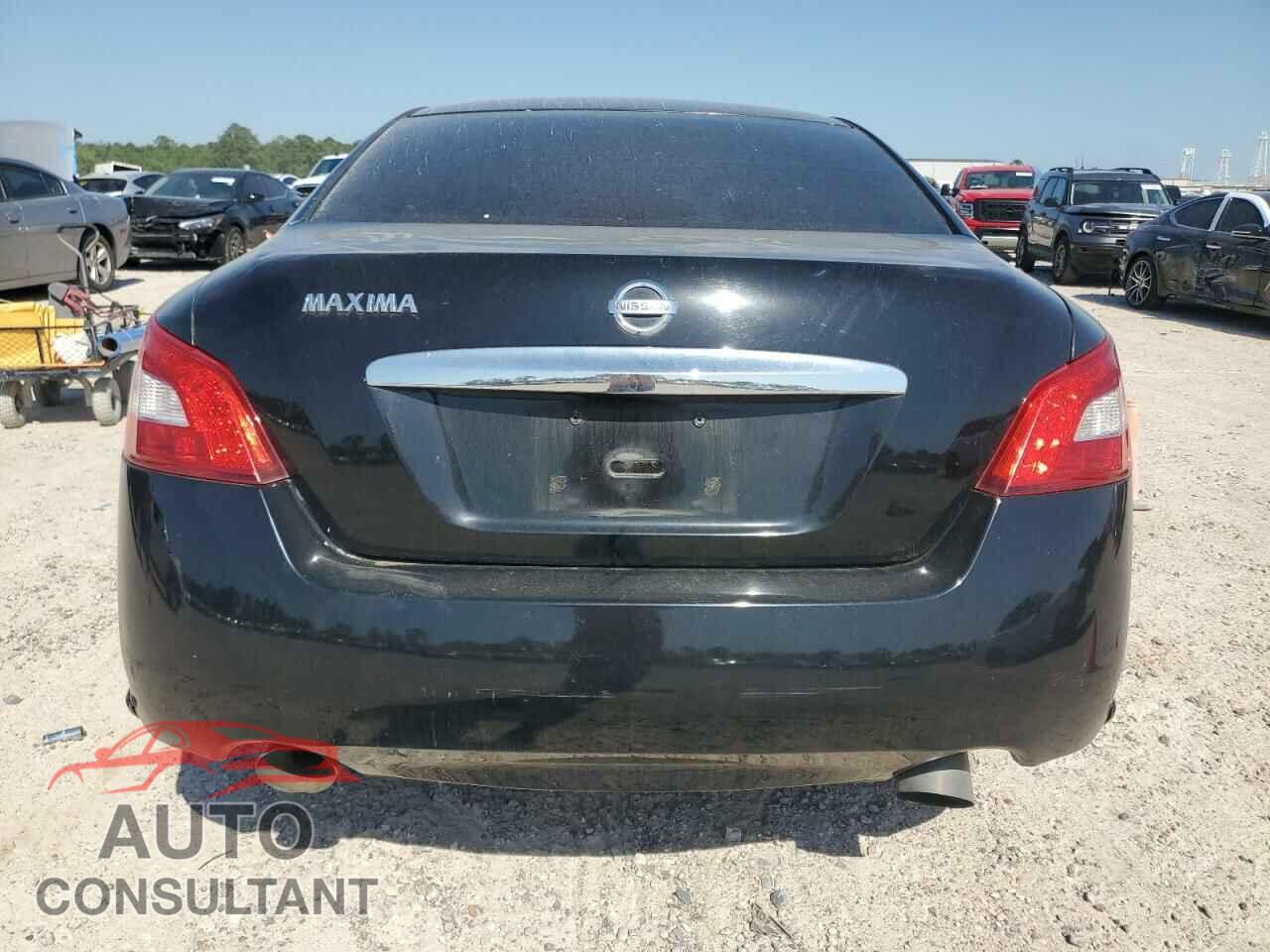 NISSAN MAXIMA 2009 - 1N4AA51E69C856493