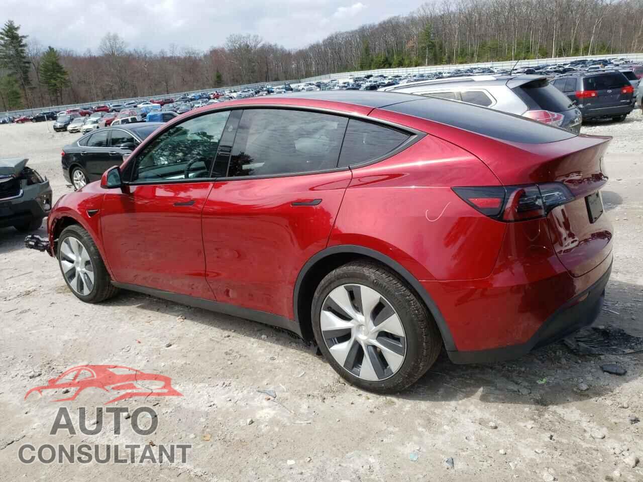 TESLA MODEL Y 2024 - 7SAYGAEE2RF048805