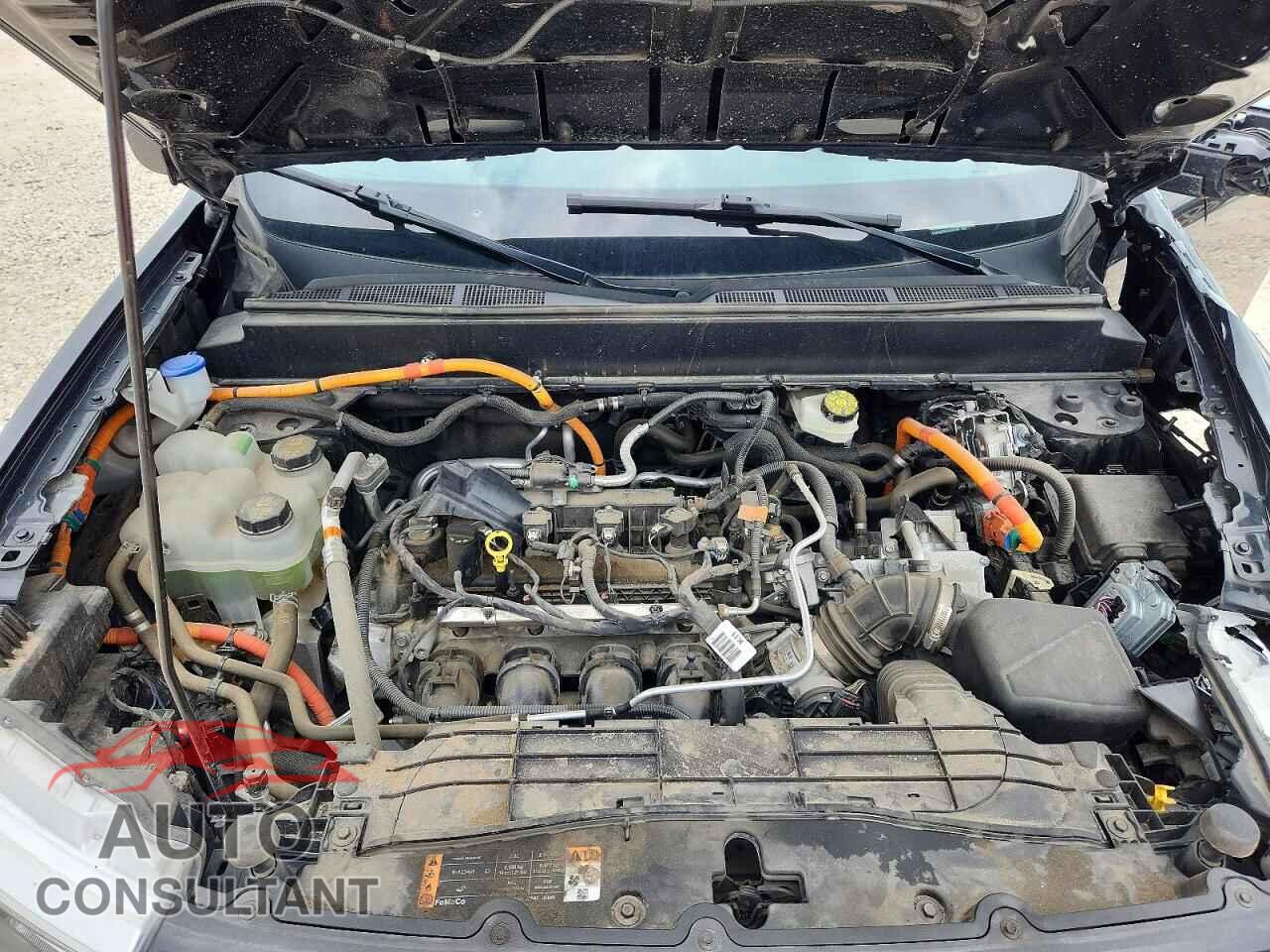 FORD MAVERICK 2024 - 3FTTW8A37RRA38180