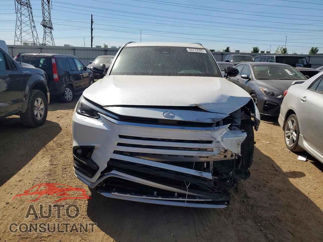 LEXUS UNKNOWN 2024 - 5TDABAB66RS002528