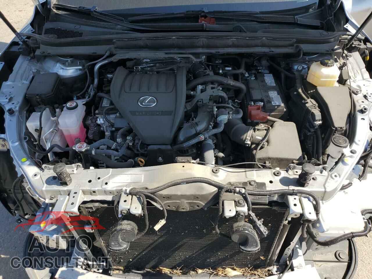 LEXUS RX350 2023 - 2T2BAMCA3PC030204