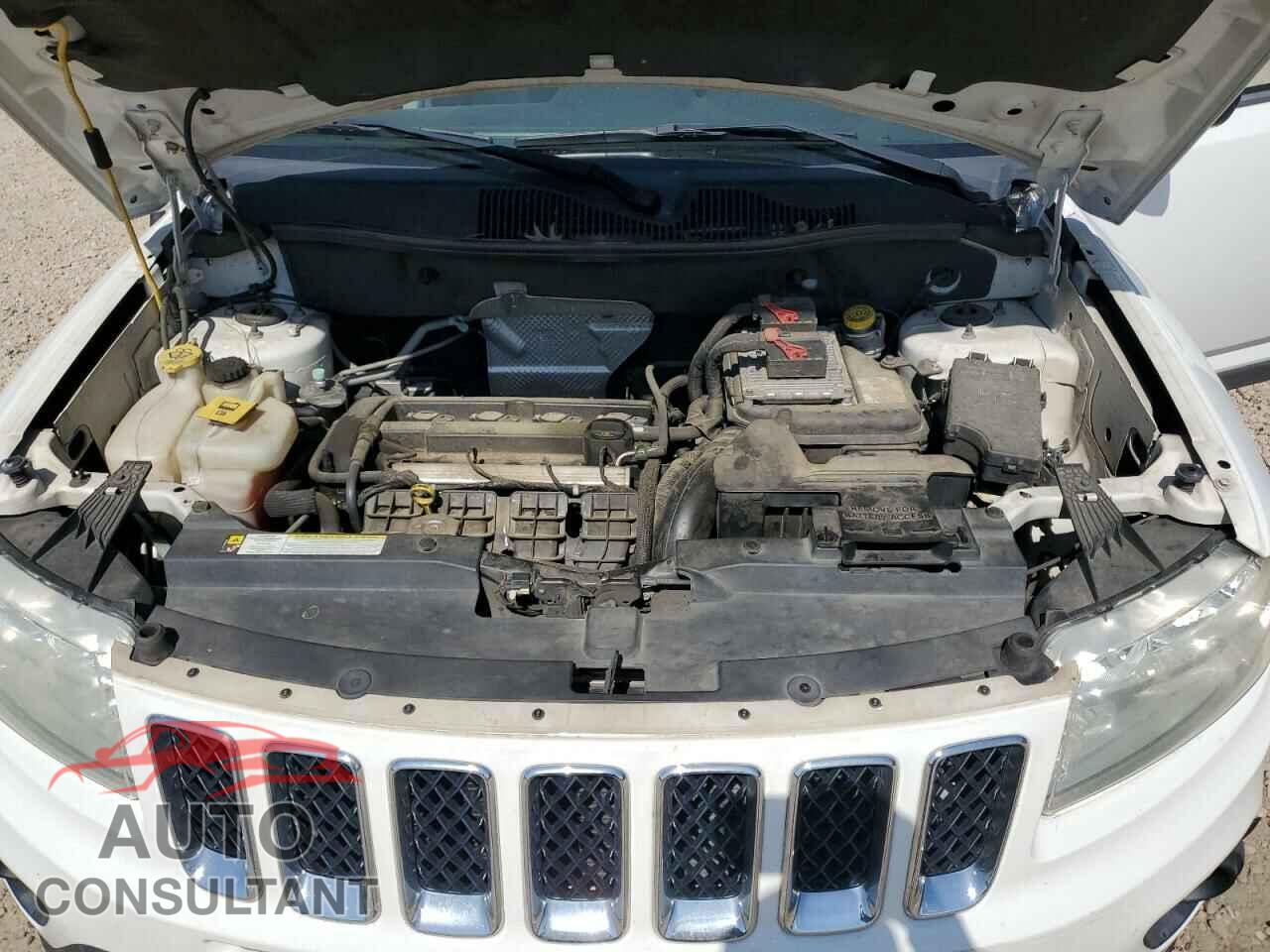 JEEP COMPASS 2011 - 1J4NT1FB4BD189351