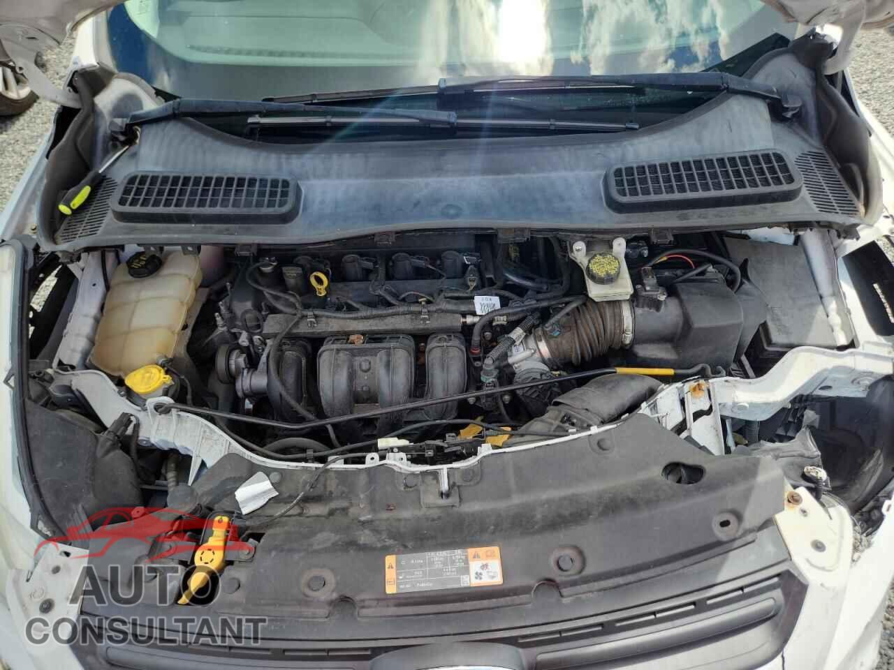 FORD ESCAPE 2016 - 1FMCU0F76GUA79324
