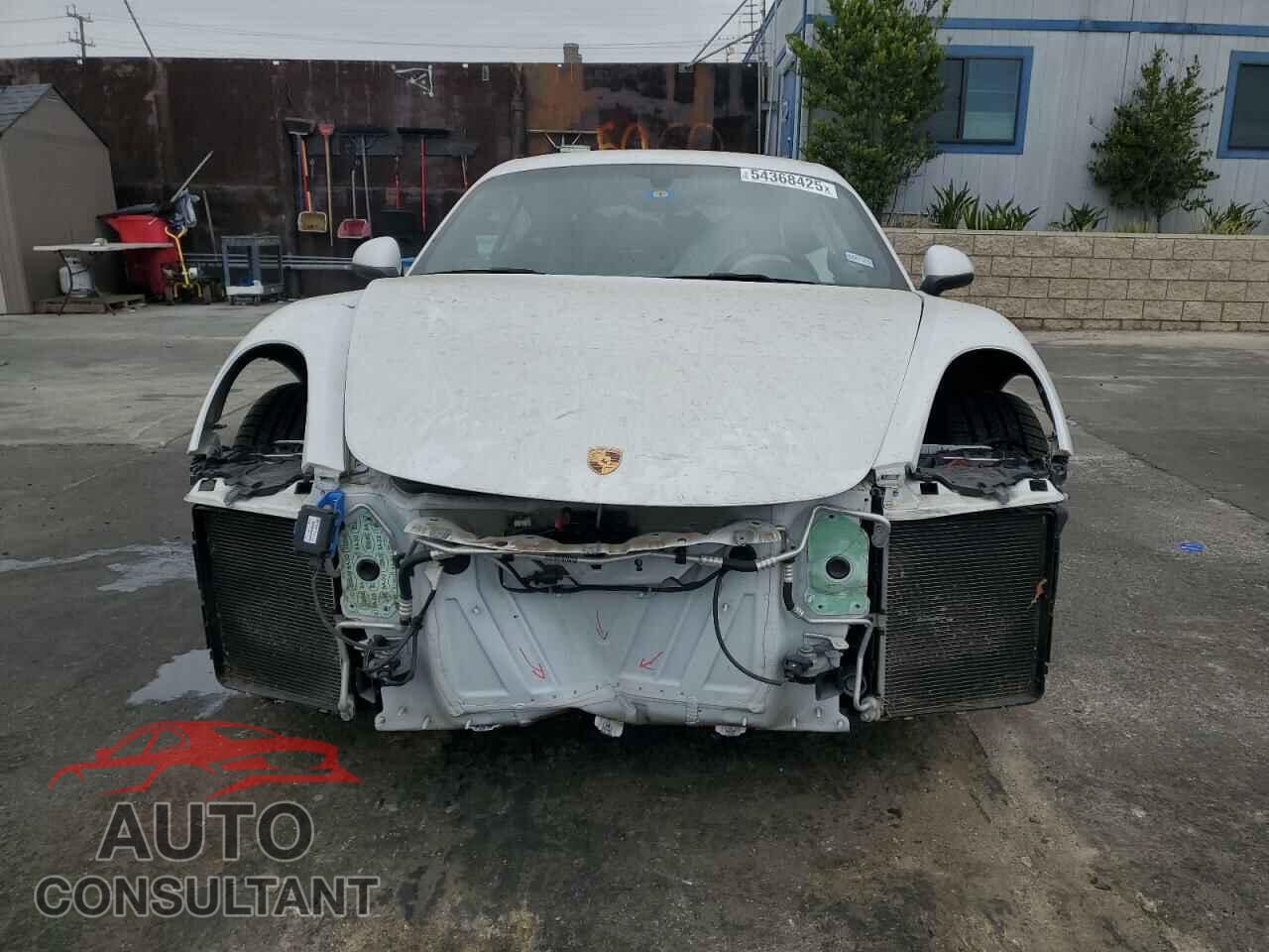 PORSCHE CAYMAN 2015 - WP0AB2A80FK180138