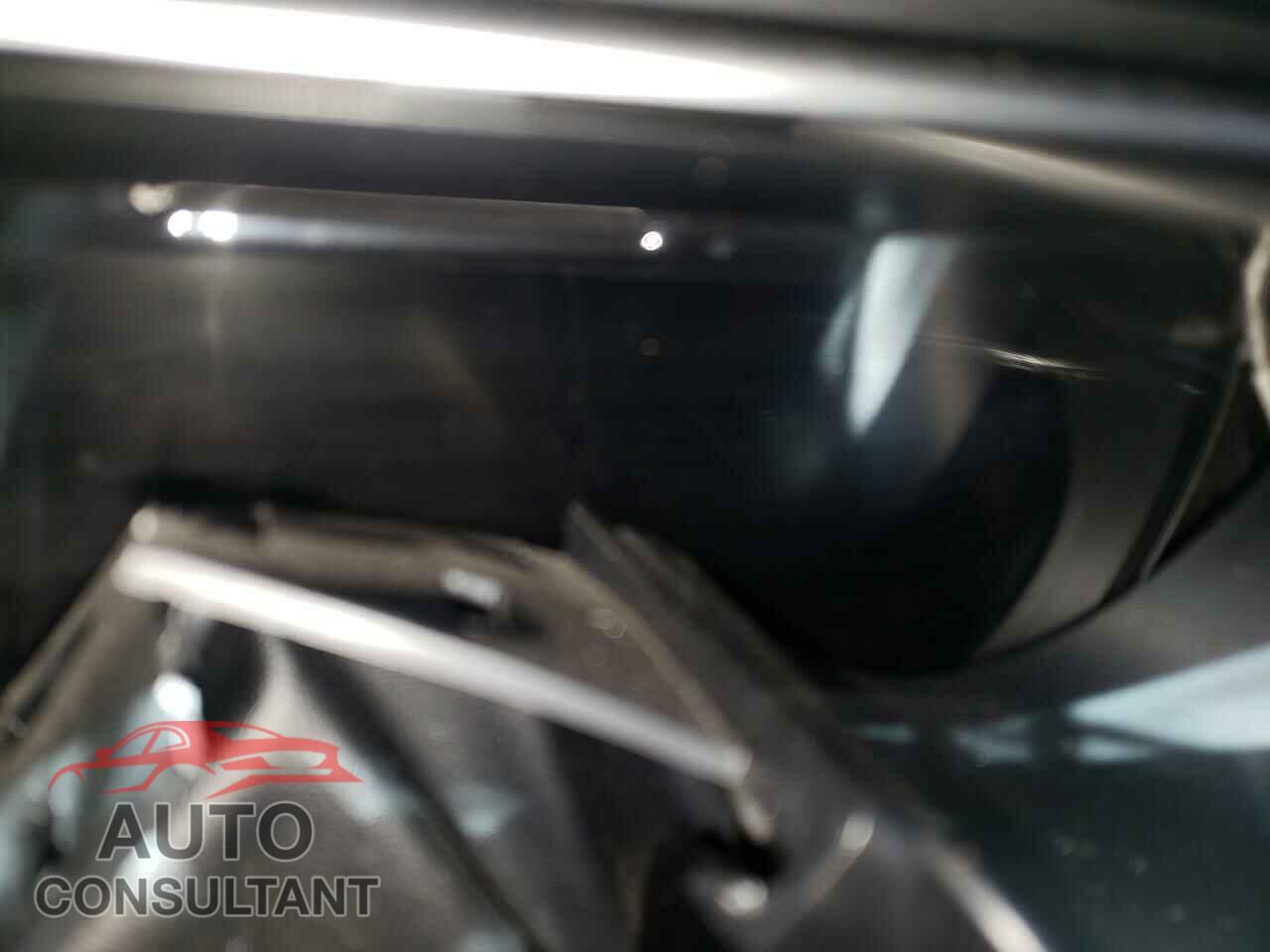 FORD MUSTANG 2019 - 1FA6P8CF8K5120998
