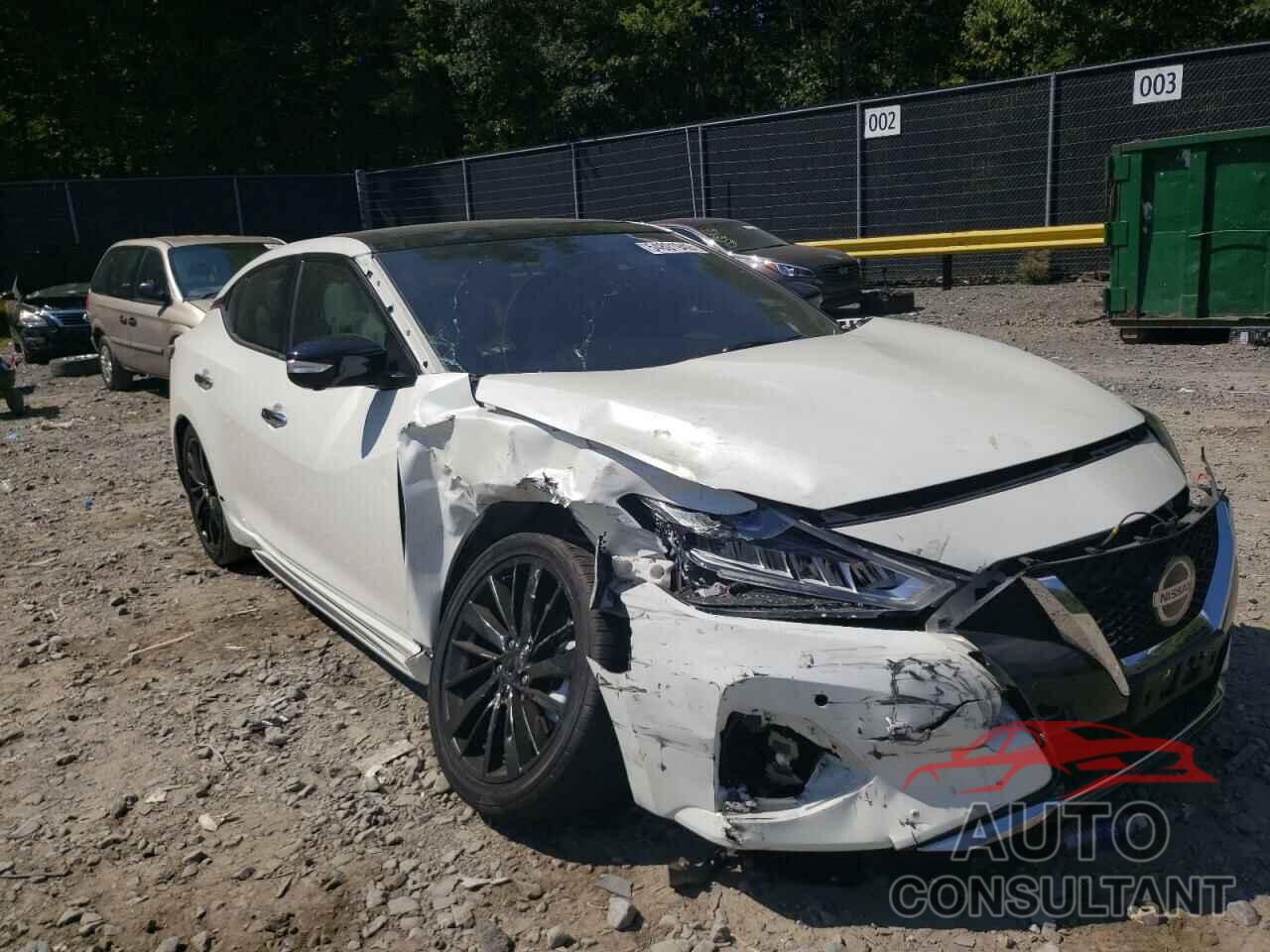 NISSAN MAXIMA 2019 - 1N4AA6AV4KC381504