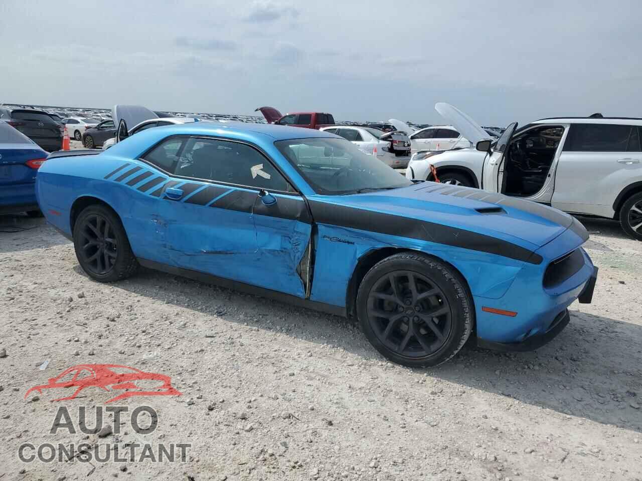 DODGE CHALLENGER 2019 - 2C3CDZAG6KH574901