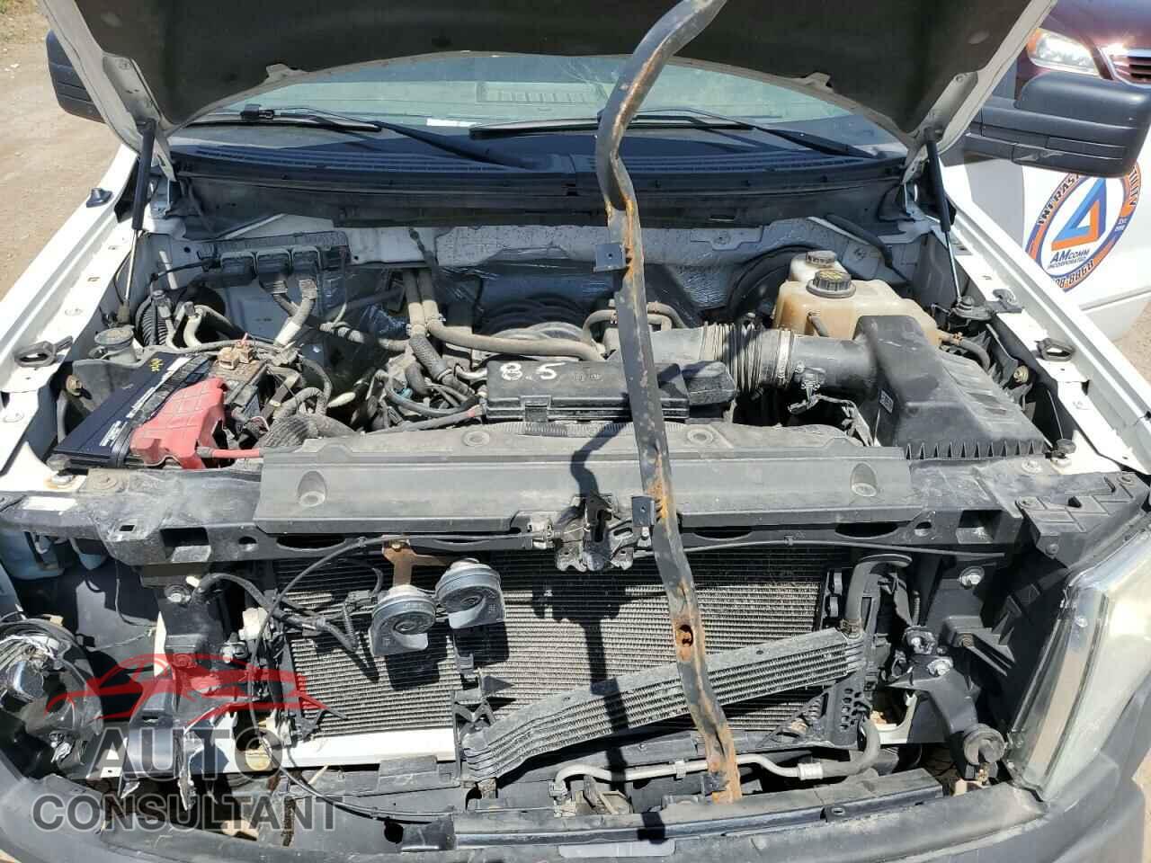 FORD F-150 2013 - 1FTFX1CF3DFB24150